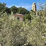 Pink House