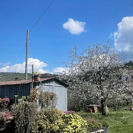 Pink House