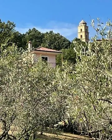 Pink House